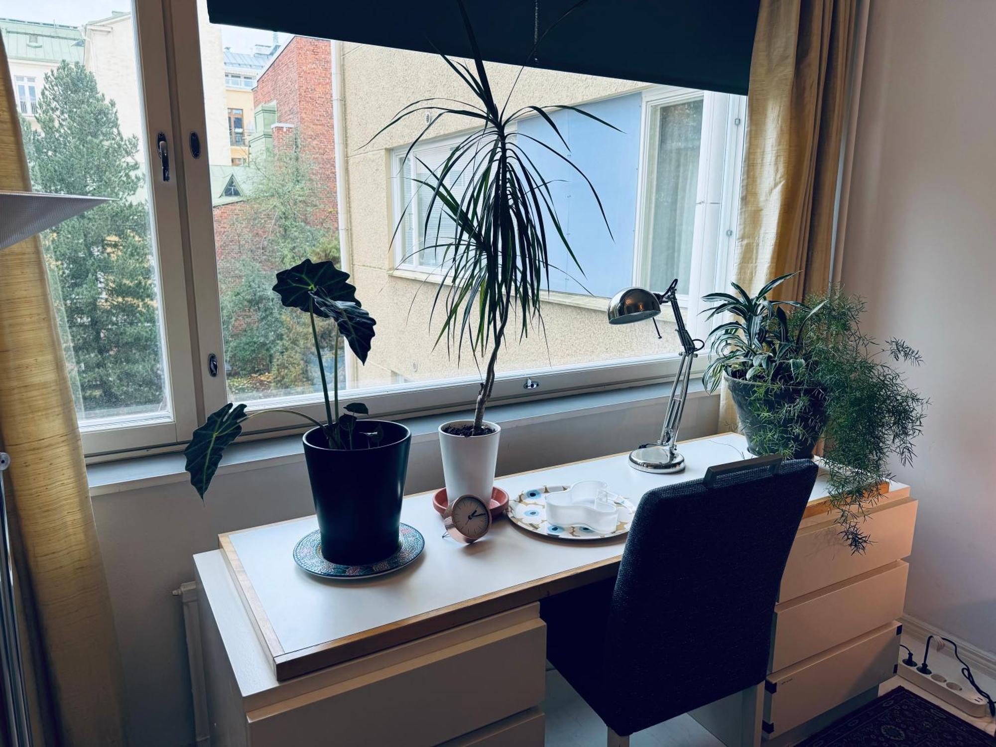 Lovely Apartment, Vuorimiehenkatu 31 เฮลซิงกิ ภายนอก รูปภาพ
