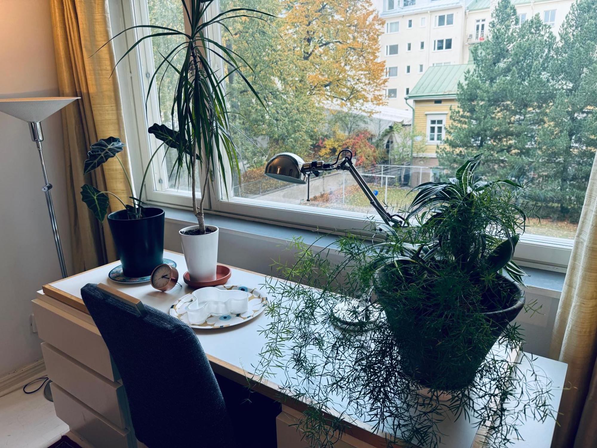 Lovely Apartment, Vuorimiehenkatu 31 เฮลซิงกิ ภายนอก รูปภาพ
